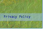Privacy Policy