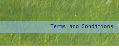 Terms and Conditions